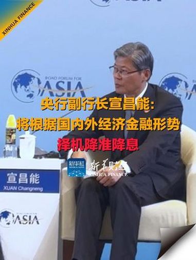 央行副行长宣昌能：将根据国内外经济金融形势择机降准降息